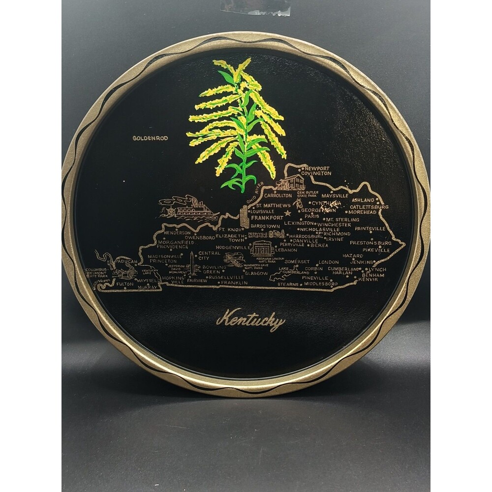 Vintage Souvenir Metal 11" Tray State Map & Flower Kentucky Goldenrod